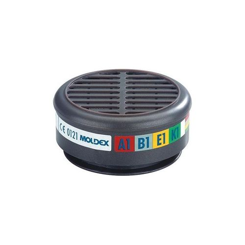 Filtres 8900 A1B1E1K1 pour Serie 8000 (Par 10)