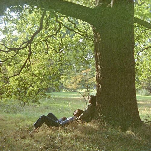 Plastic Ono Band (The Ultimate Mixes) - Vinyle