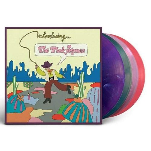Introducing The Pink Stones - Vinyle 33 Tours