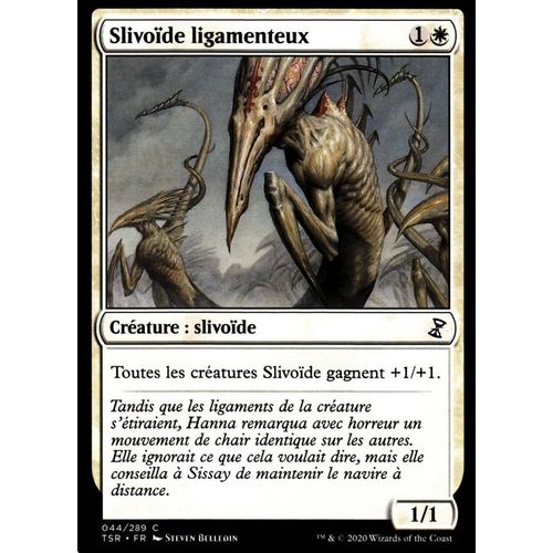 Slivoïde Ligamenteux - Mtg - Spirale Temporelle Remastered - C - 44/289