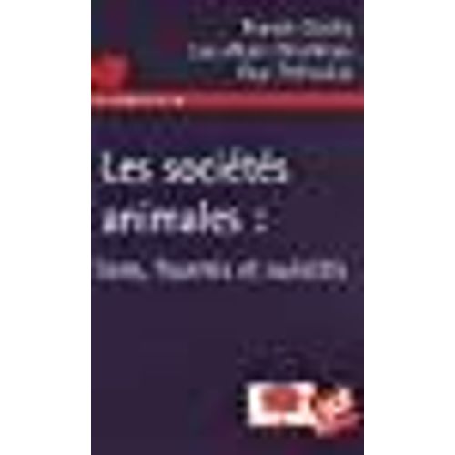 Les Sociétés Animales : Lions, Fourmis Et Ouistitis