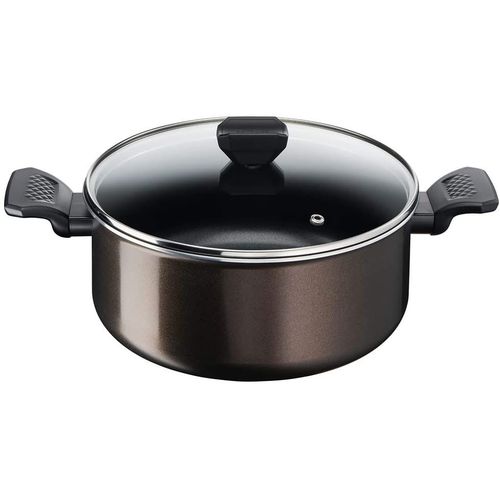 Faitout 24 Cm Tefal B5544602 Easy Cook & Clean