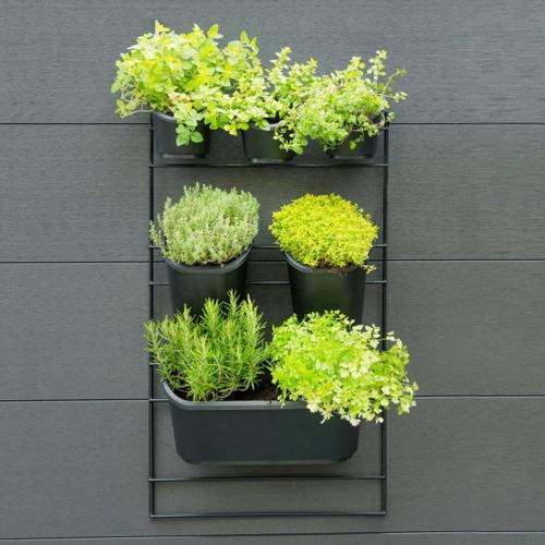 Nature Kit Mural De Jardin Vertical