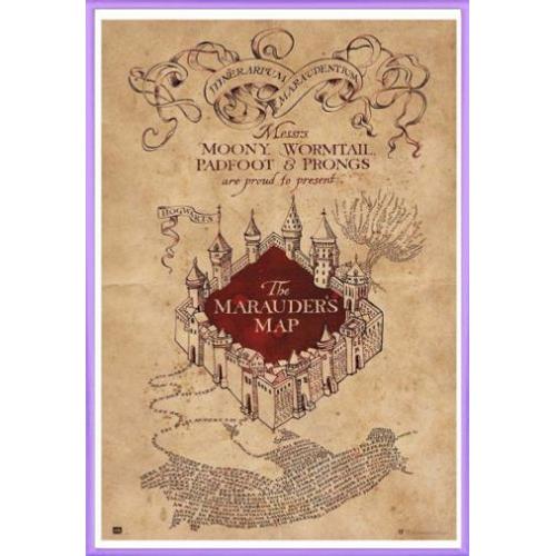 Cadre Harry Potter carte du maraudeur