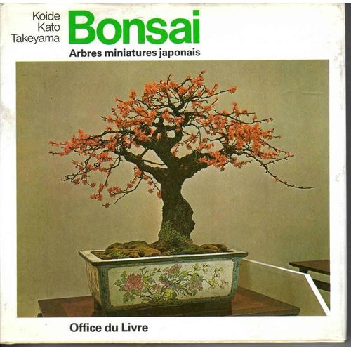 Bonsai Arbres Miniatures Japonais