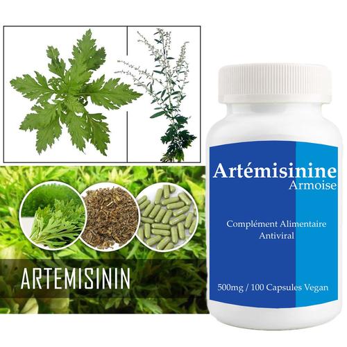 Artémisinine / Armoise - Artemisia Annua L 100% - 100 Caps X 500mg - Mélange 100% Naturel - Antiviral Puissant 