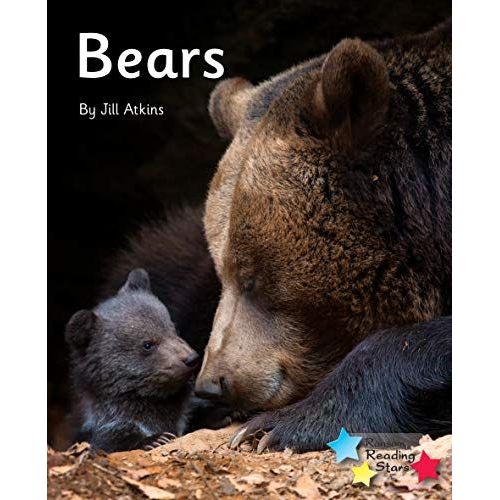 Bears