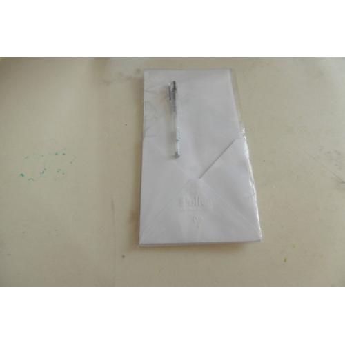 Pochette De 10 Feuilles Papier À Lettre 90 Grs Et 5 Enveloppes 120 Grs Blanc Vergé Avec Stylo Argent Pollen