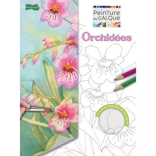 Orchidées À L'aquarelle