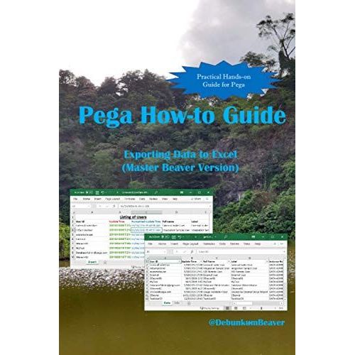 Pega How-To Guide: Exporting Data To Excel (Master Beaver Version)