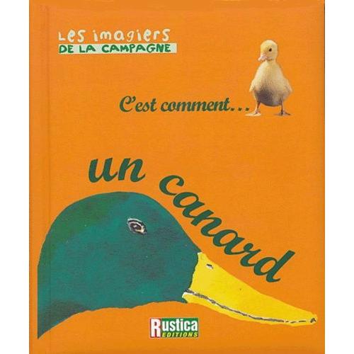 C'est Comment - Un Canard