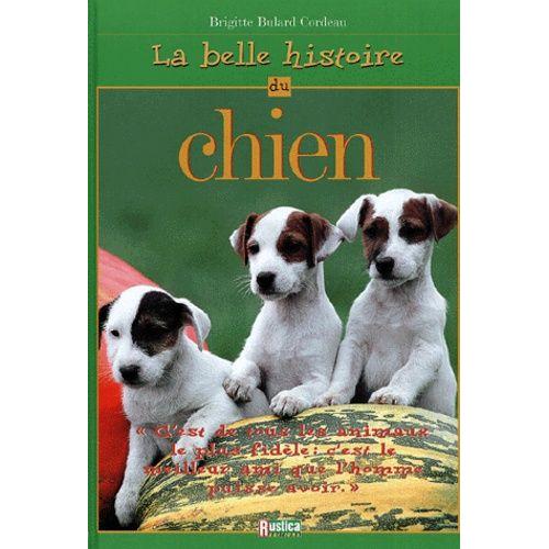 La Belle Histoire Du Chien