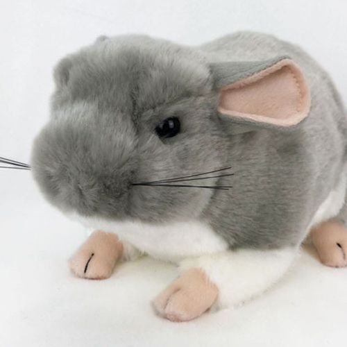 Peluche En Peluche Douce Simulee Chinchilla Animal Enfants Bebe Cadeau Rakuten