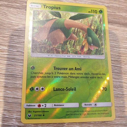 Tropius Hollo 21 / 168