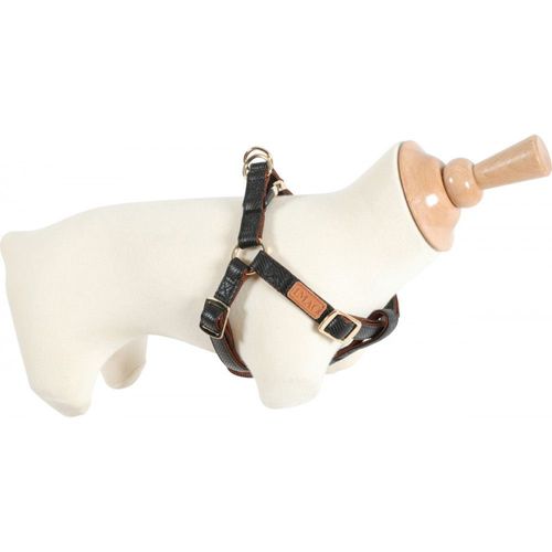 Zolux Harnais Imao Mayfair 15 Mm Couleur Noir Pour Chien
