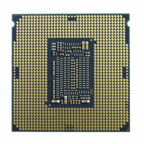 Processeur Intel Celeron G5925 Box
