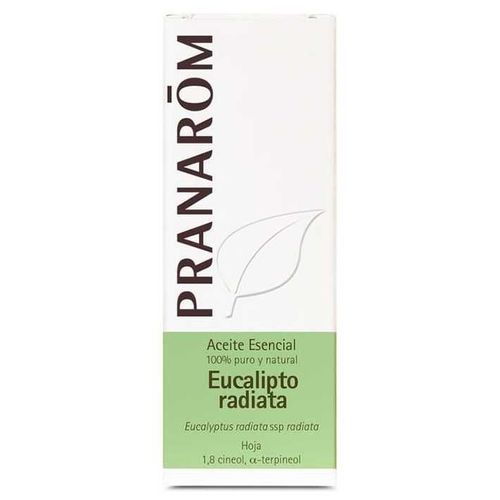 Eucalyptus Radiata Essential Oil 