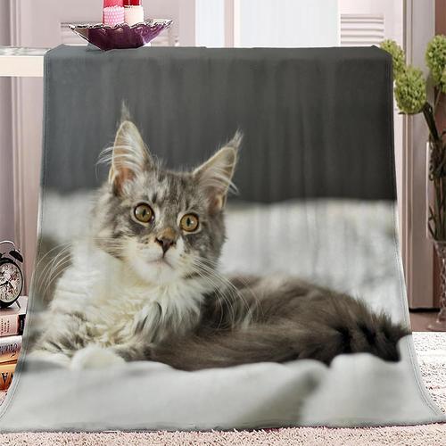 Animaux Chat Maine Coon 1 Animaux Chat Maine Coon 1 Couverture Flanelle Doux Et Confortable Animal Chat Maine Coon Motif Couverture Plaid Polaire Couverture