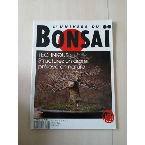 L'univers Du Bonsai N°6