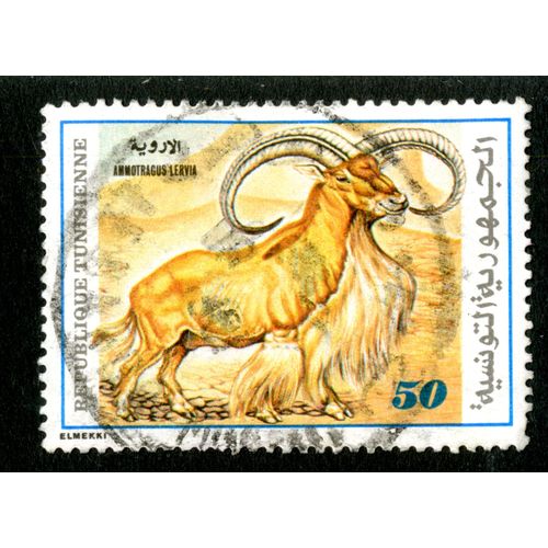 Timbre Oblitéré République Tunisienne, Ammotragus Lervia, 50