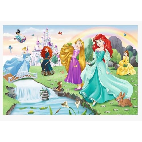 Meet The Princesses - Puzzle 60 Pièces