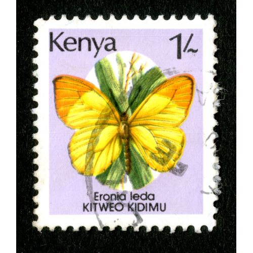 Timbre Oblitéré Kenya, Eronia Leda, Kitweo Kidimu, 1