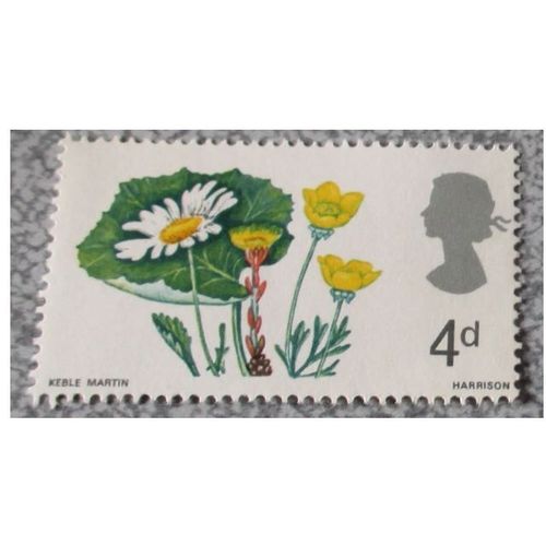 Royaume-Uni-Timbre Anglais 4d Old Penny-Wild Flowers-Ox-Eye Daisy, Coltsfoot And Buttercup-Fleurs Sauvages Anglaises-Date De Sortie 24/04/1967-41x24mm-Neuf