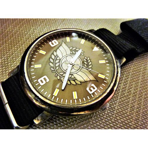 Hong Kong Disneyland Pilot Montre Homme 2008 Anq1105