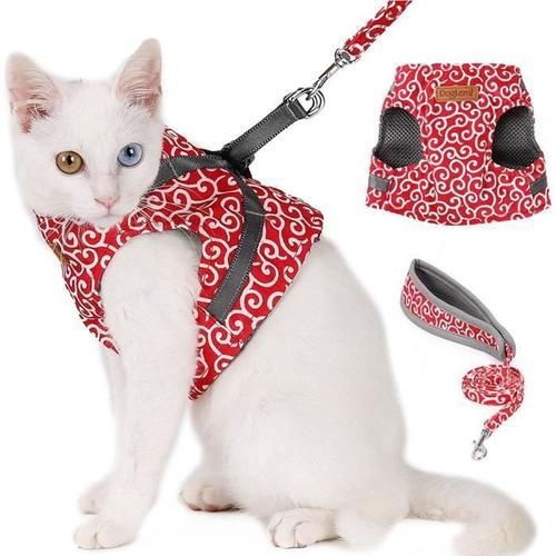 Gilet rembourré avec harnais pour chats avec laisse ajustable pour