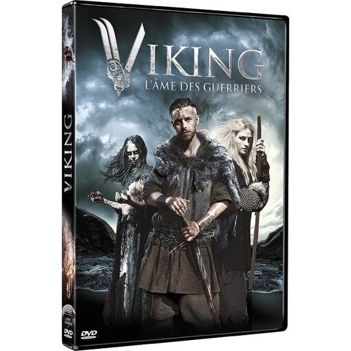 Viking, l'âme des guerriers