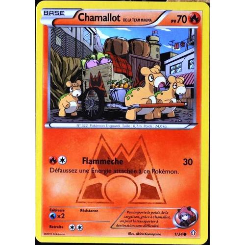 Carte Pokémon 1/34 Chamallot Team Magma 70 Pv Double Danger Neuf Fr