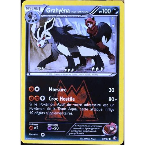 Carte Pokémon 19/34 Grahyèna Team Magma 100 Pv Double Danger Neuf Fr