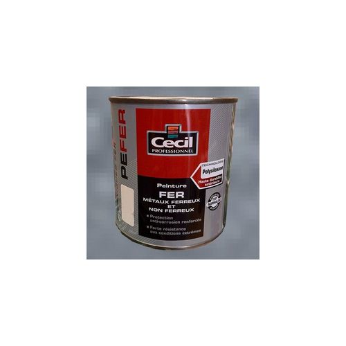 Cécil Peinture PE FER Gris martelé