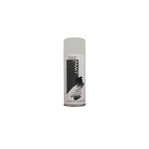 AMT Aérosol Couleur Galet Mat (BPA0010)