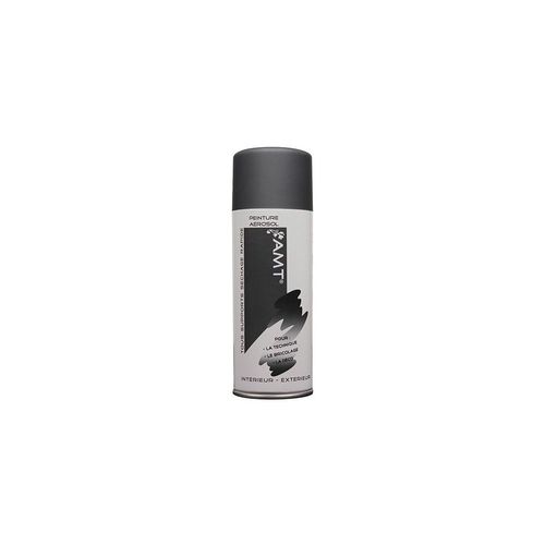 AMT Aérosol Couleur Ardoise Mat (BPA001)