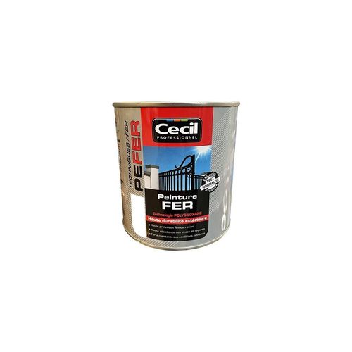 Cécil Peinture PE FER Blanc 0,5 L