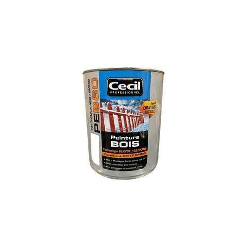 Peinture Bois Cécil Professionnel PEB60 Blanc brillant