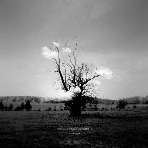 Dream Interpretation - Vinyle 33 Tours