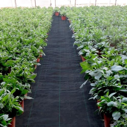 Toile Anti Mauvaises Herbes - Vevor - 91,4 X 1,83 M - Tissu Polypropylène - Noir - Rectangulaire