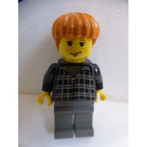 Figurine Lego Harry Potter Ron Weasley Du Set 4727 Aragog Dans La Forêt Interdite