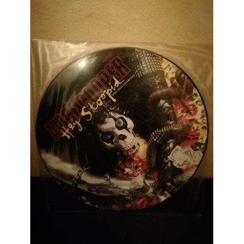 Picture Disc "Hey Stoopid"