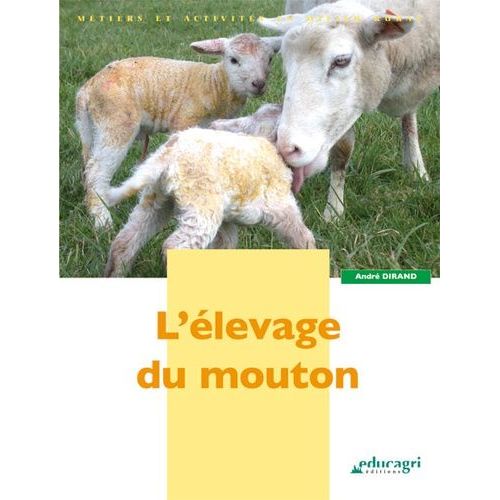 L'élevage Du Mouton