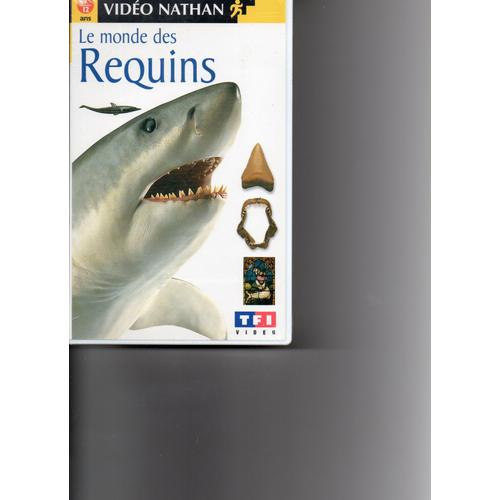 Le Monde Des Requins