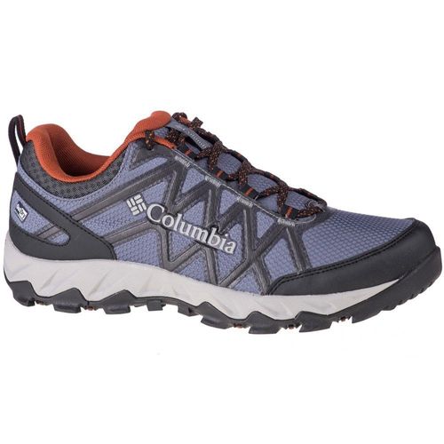 Baskets Basses Columbia Peakfreak X2 Gris