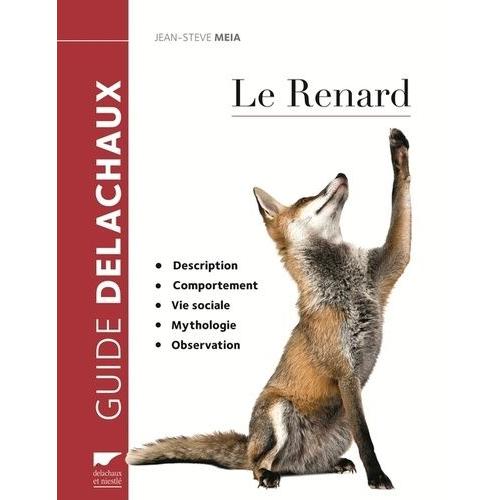 Le Renard - Description, Comportement, Vie Sociale, Mythologie, Observation