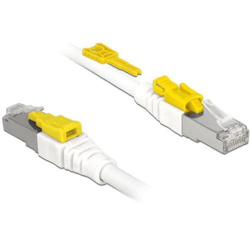 Delock Secure - Cordon de raccordement - RJ-45 (M) pour RJ-45 (M) - 5 m - STP - CAT 6a - sans halogène - blanc