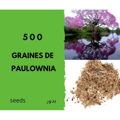 500 Graines De Paulownia Arbre A Croissance Rapide -Seeds Paulownia