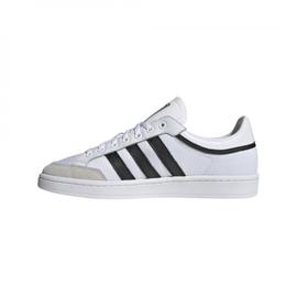 adidas americana 36