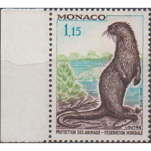 Protection Des Animaux Fédération Mondiale