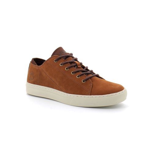 Baskets Timberland Adv 2.0